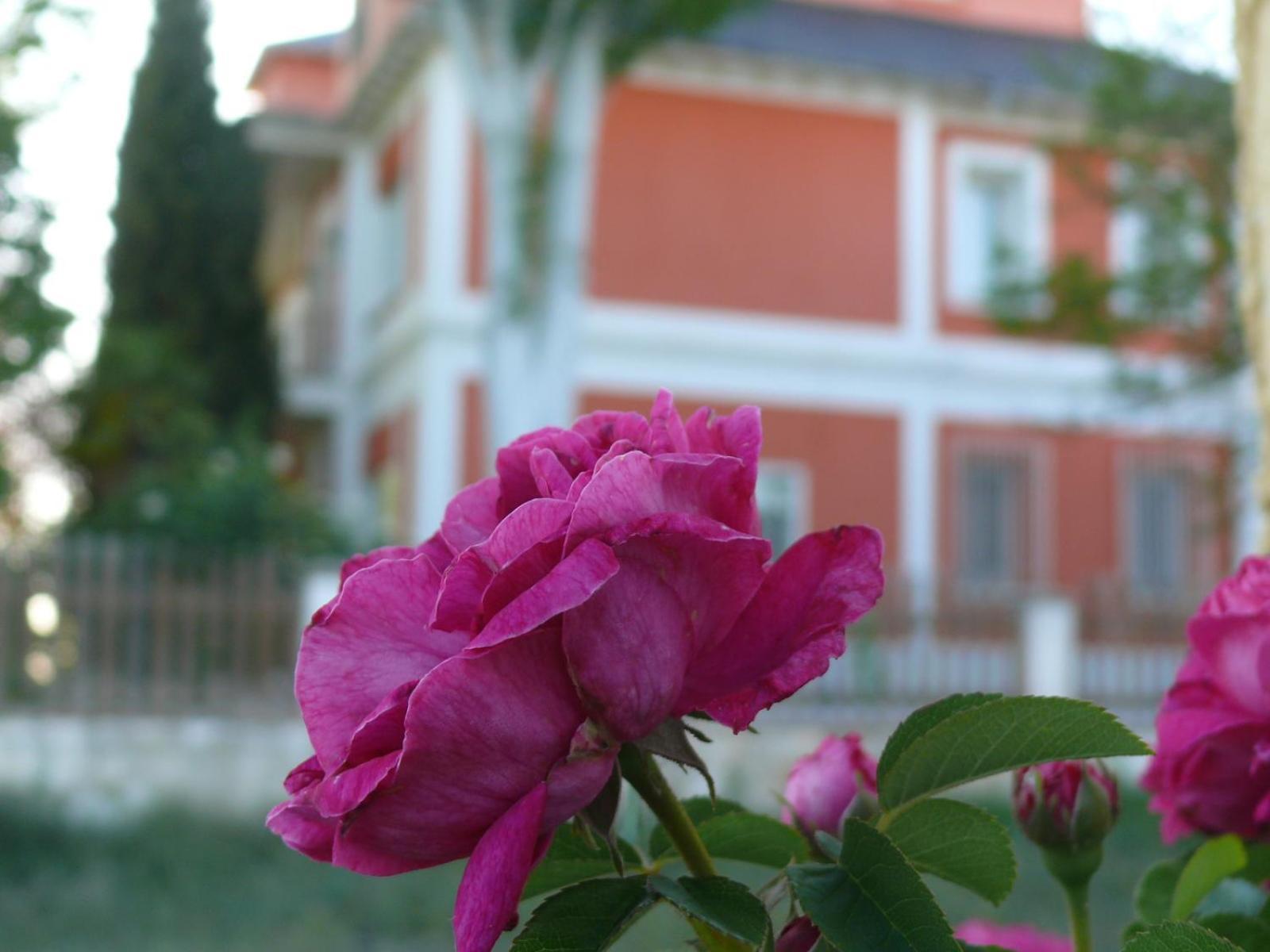 Quintanas de Gormaz La Casa Grande De Gormaz 빌라 외부 사진